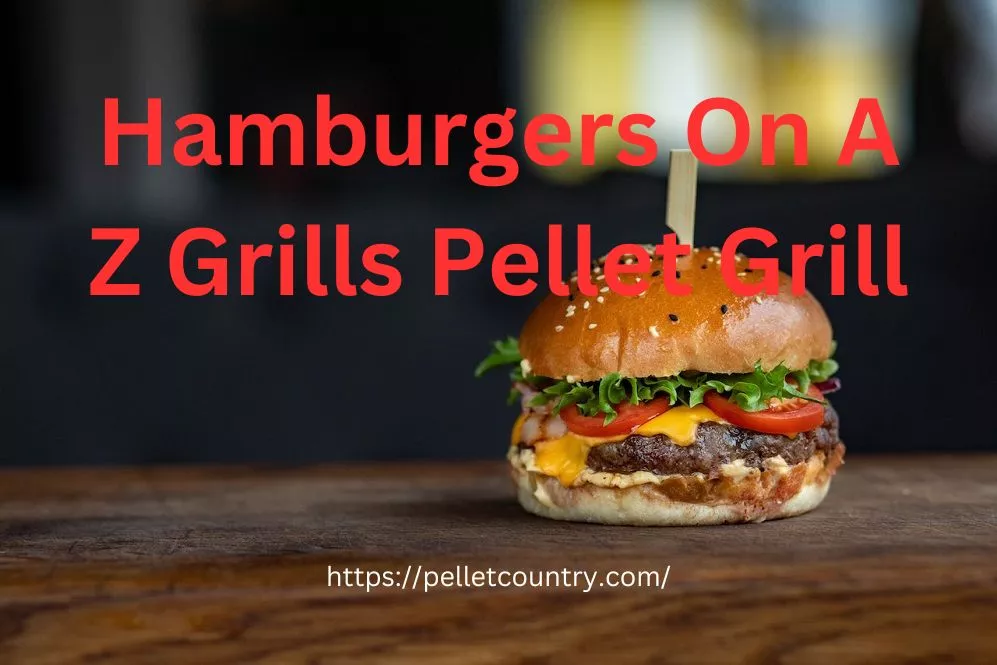 hamburger cooked on a Z Grills pellet grll.